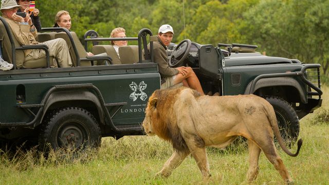 17-Daagse Prive Rondreis Zuid-Afrika: Tuinroute en Kruger Safari